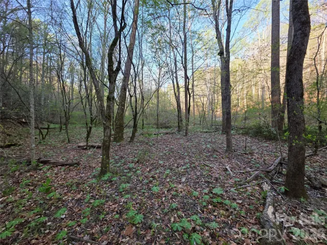 00 Mountain Creek Way