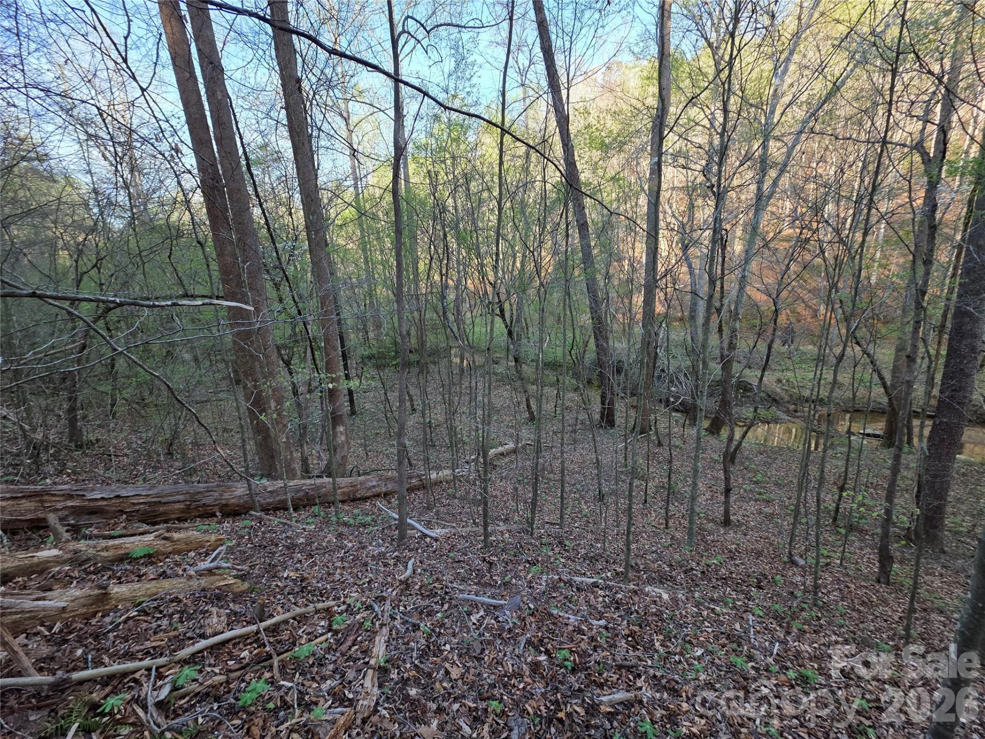 00 Mountain Creek Way - Photo 5