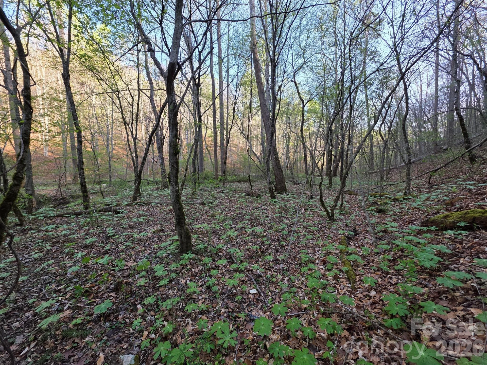 00 Mountain Creek Way - Photo 8