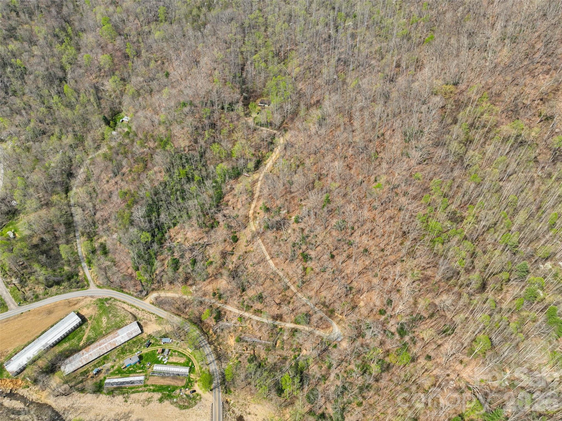 183 Stoney Fork Road - Photo 31