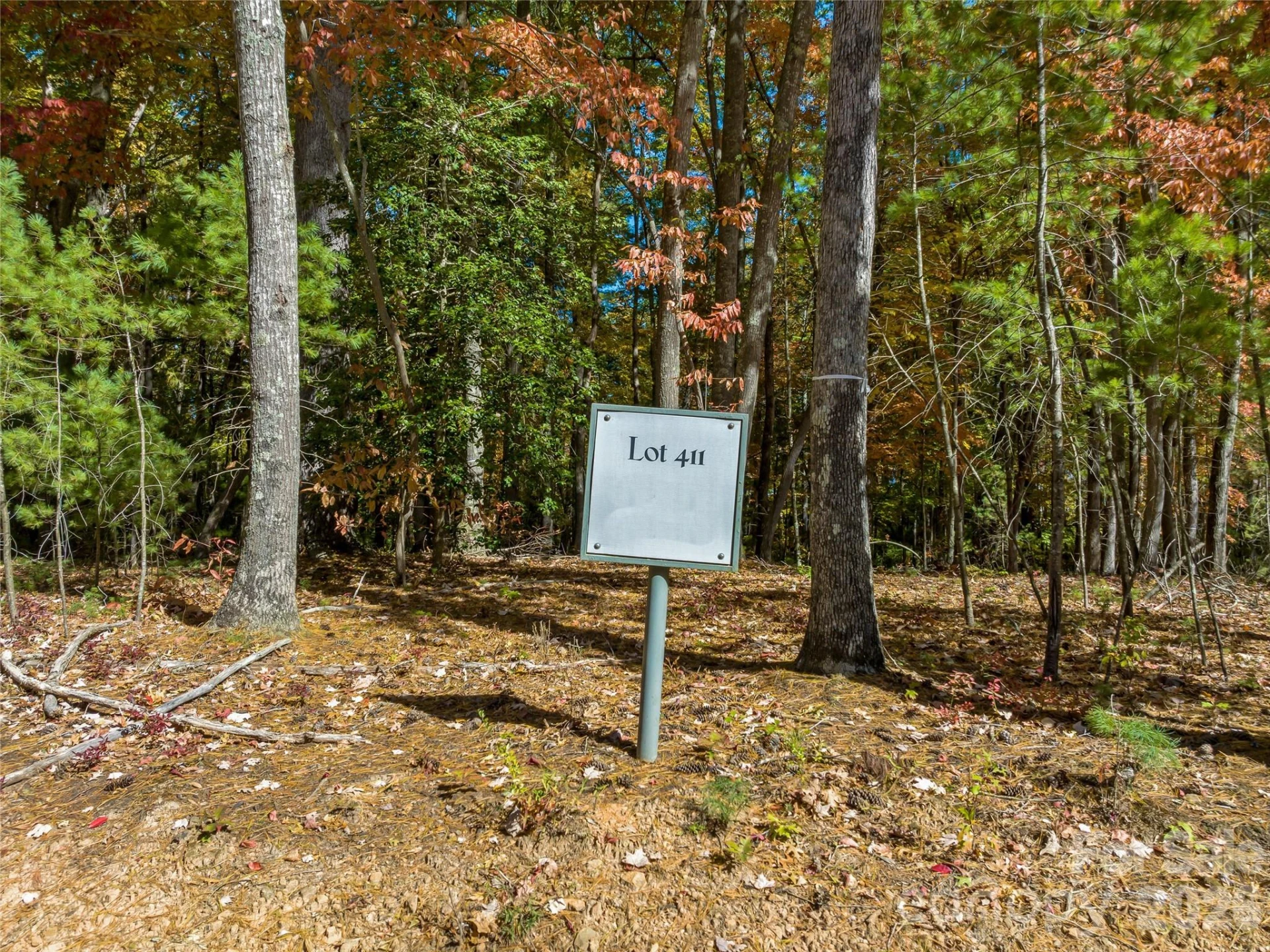 75 Emerald Necklace Drive #411