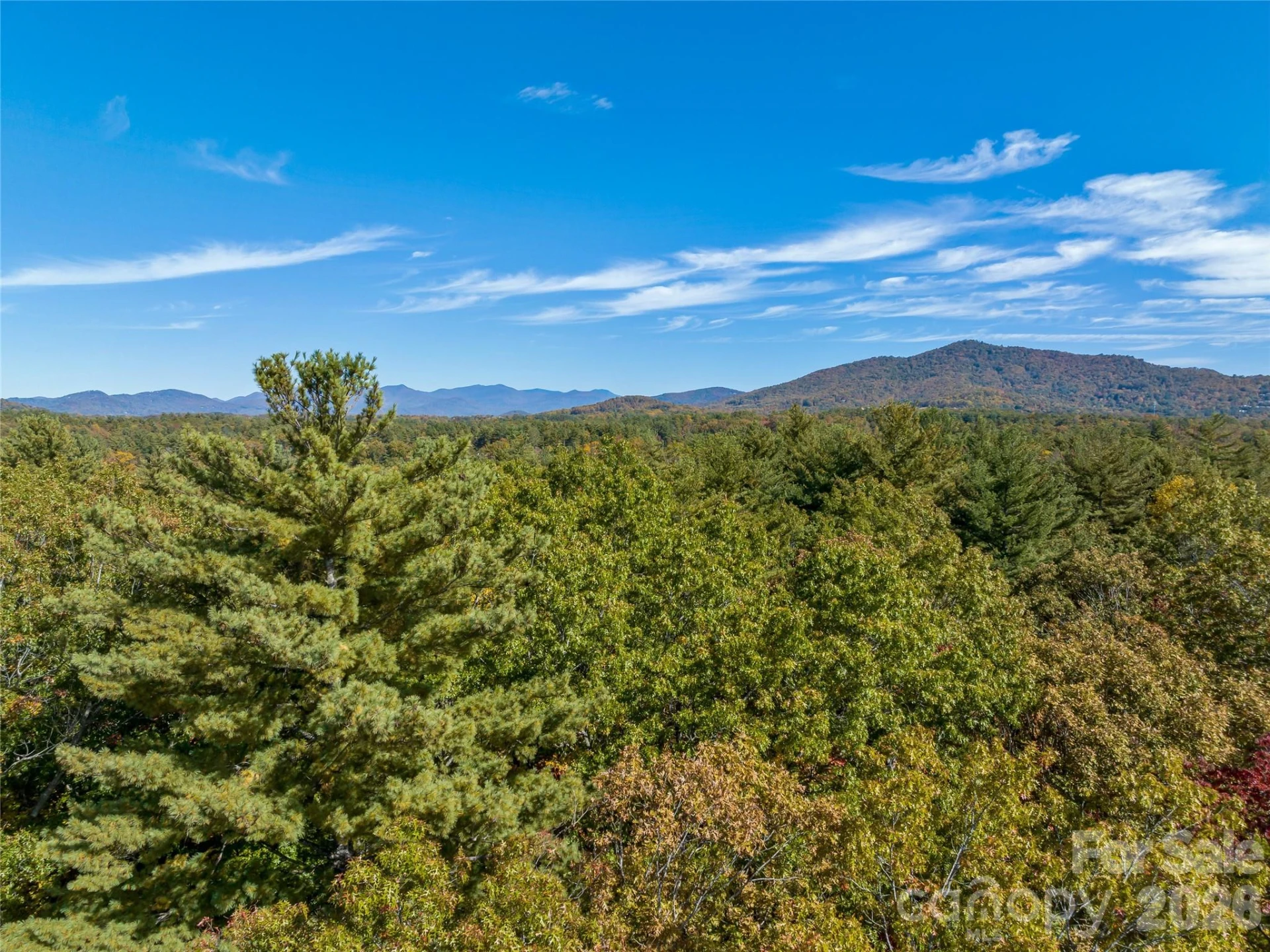75 Emerald Necklace Drive #411 - Photo 4