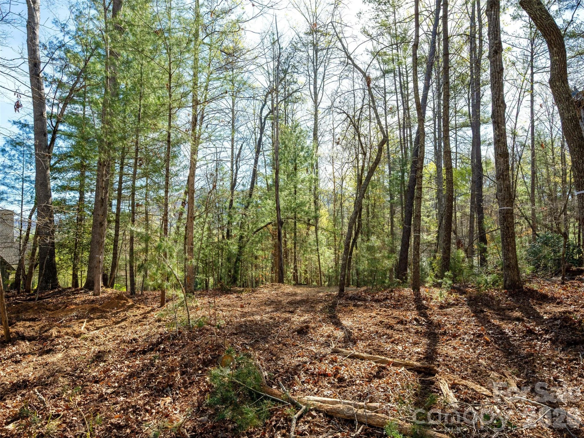 137 Nancy Ashworth Lane #13 - Photo 11