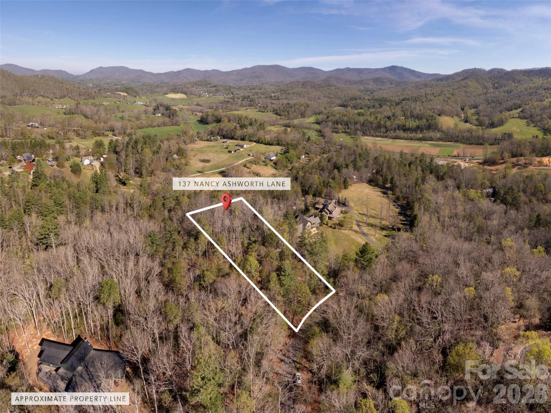 137 Nancy Ashworth Lane #13 - Photo 3