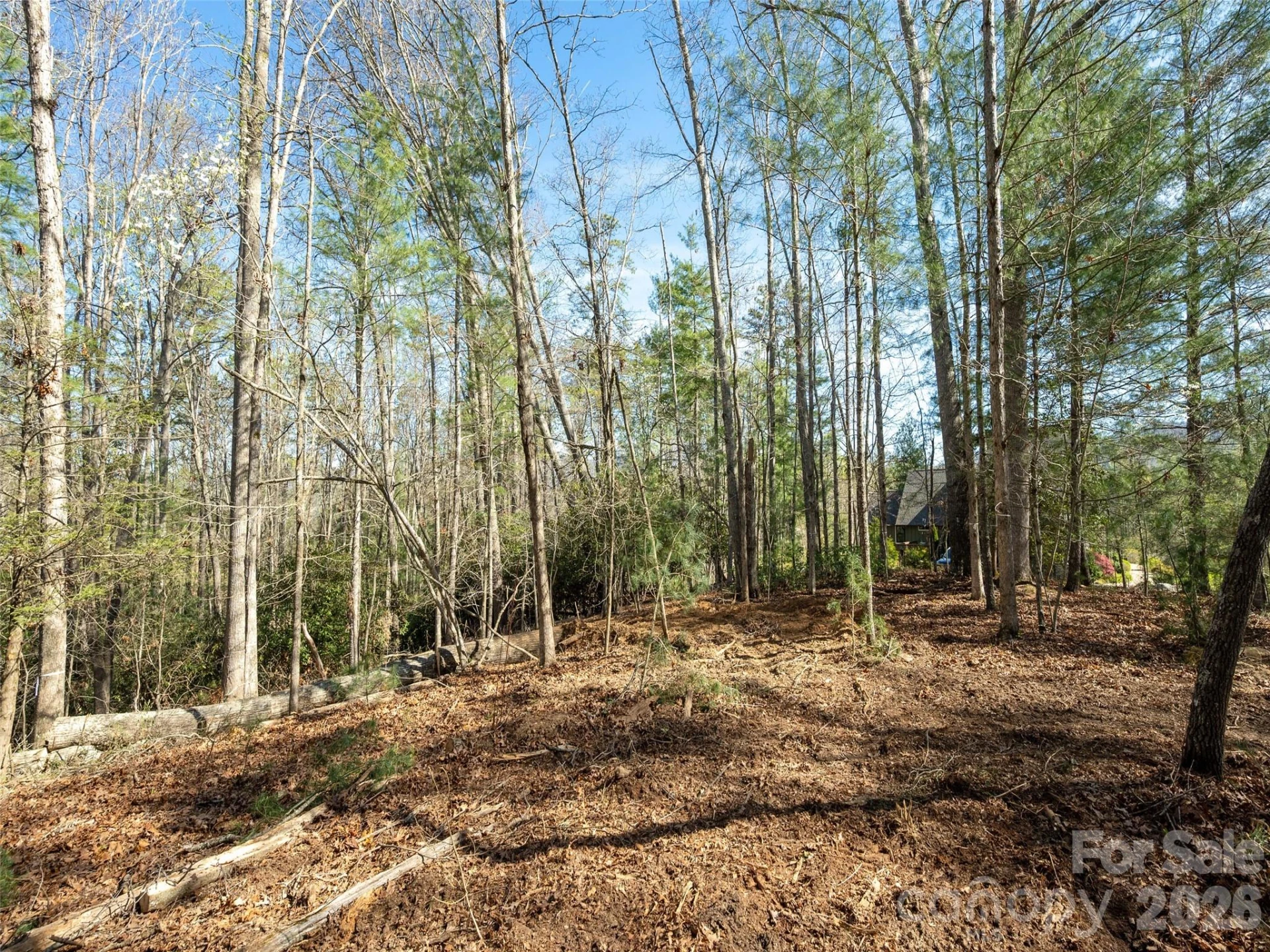 137 Nancy Ashworth Lane #13 - Photo 10