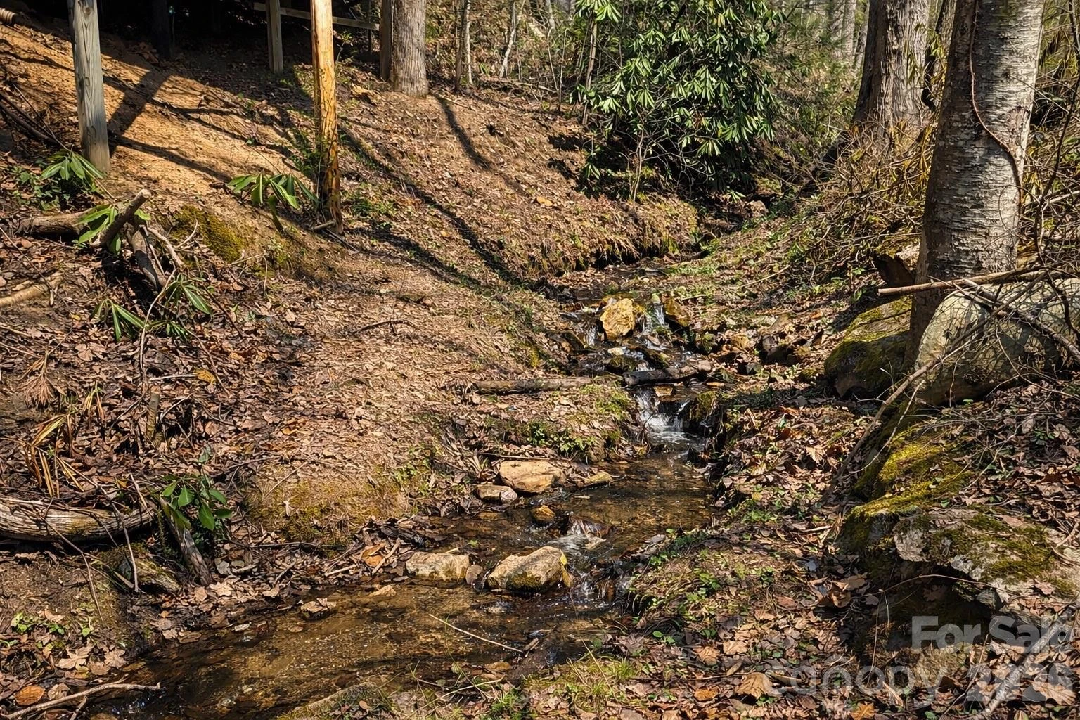 1511 Water Wheel Cove - Photo 3