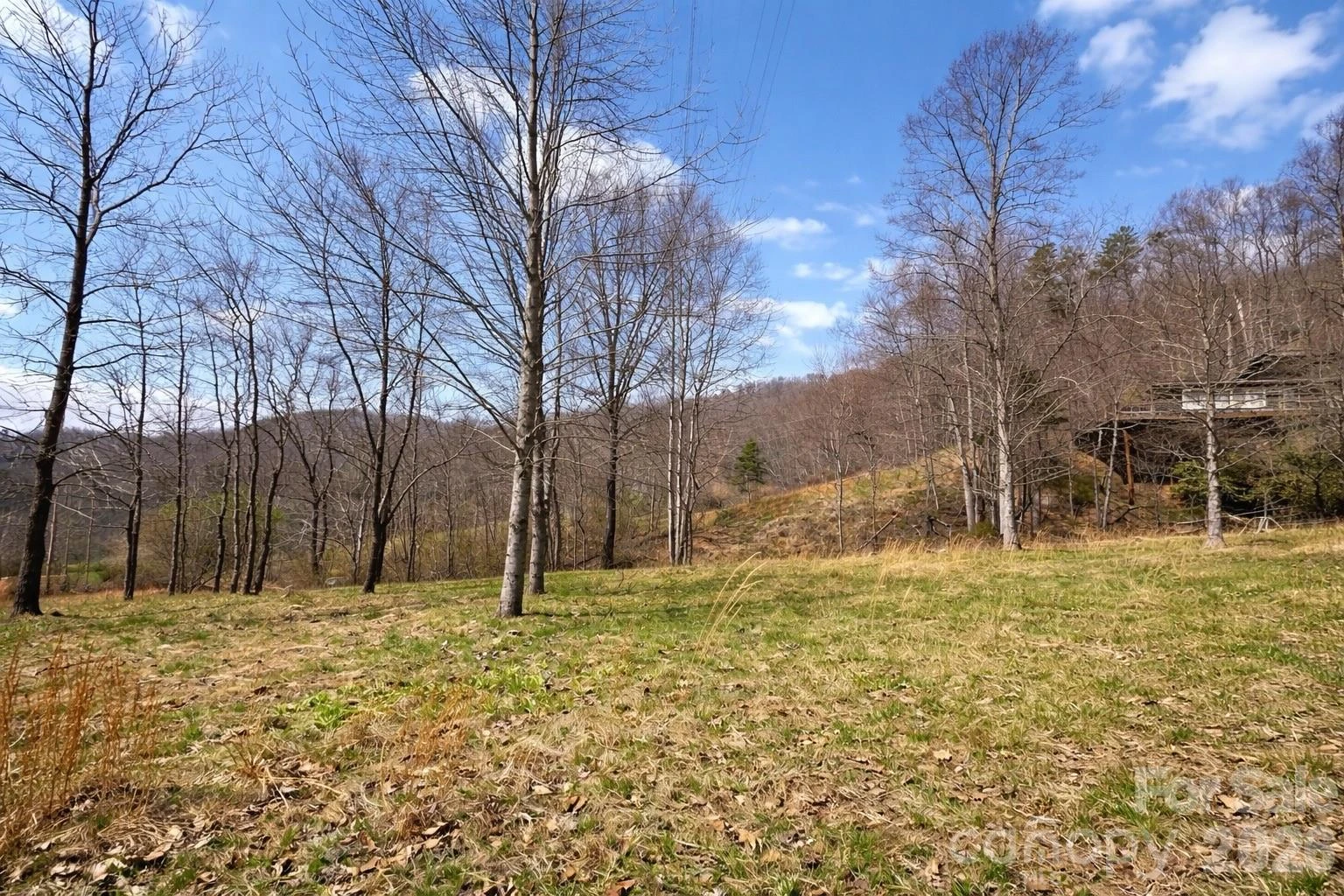 1511 Water Wheel Cove - Photo 5