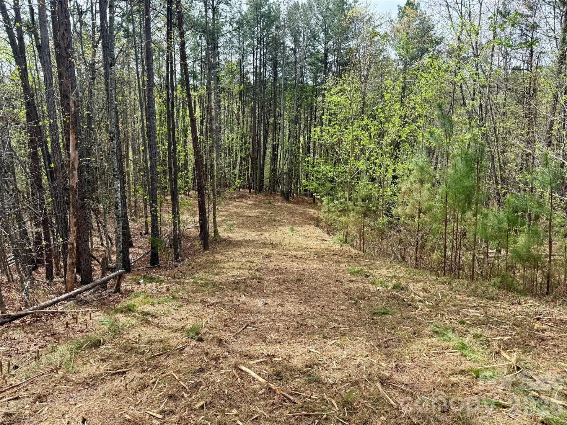 Lot 488 Bella Vista Way #488