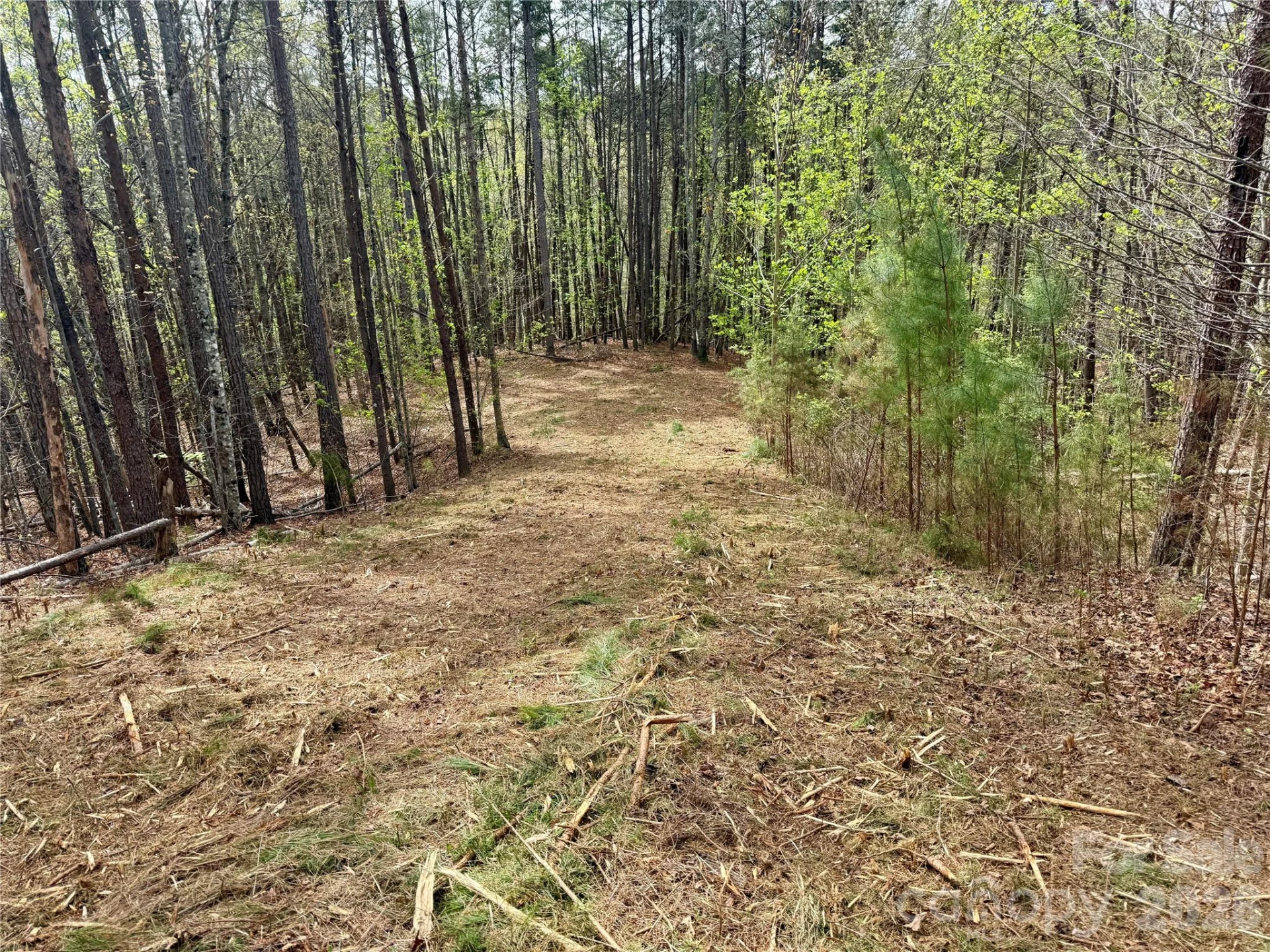 Lot 488 Bella Vista Way #488 - Photo 2