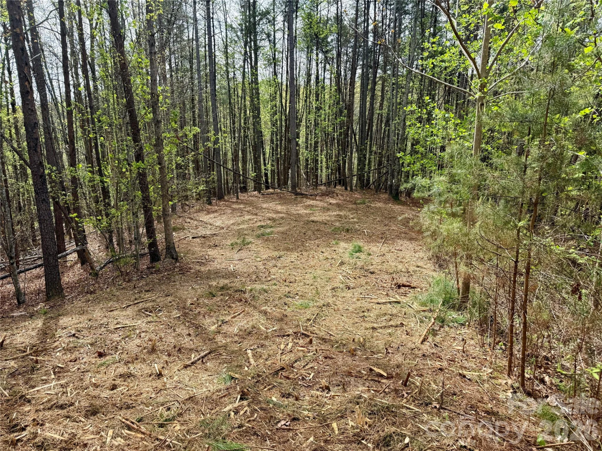 Lot 488 Bella Vista Way #488 - Photo 3