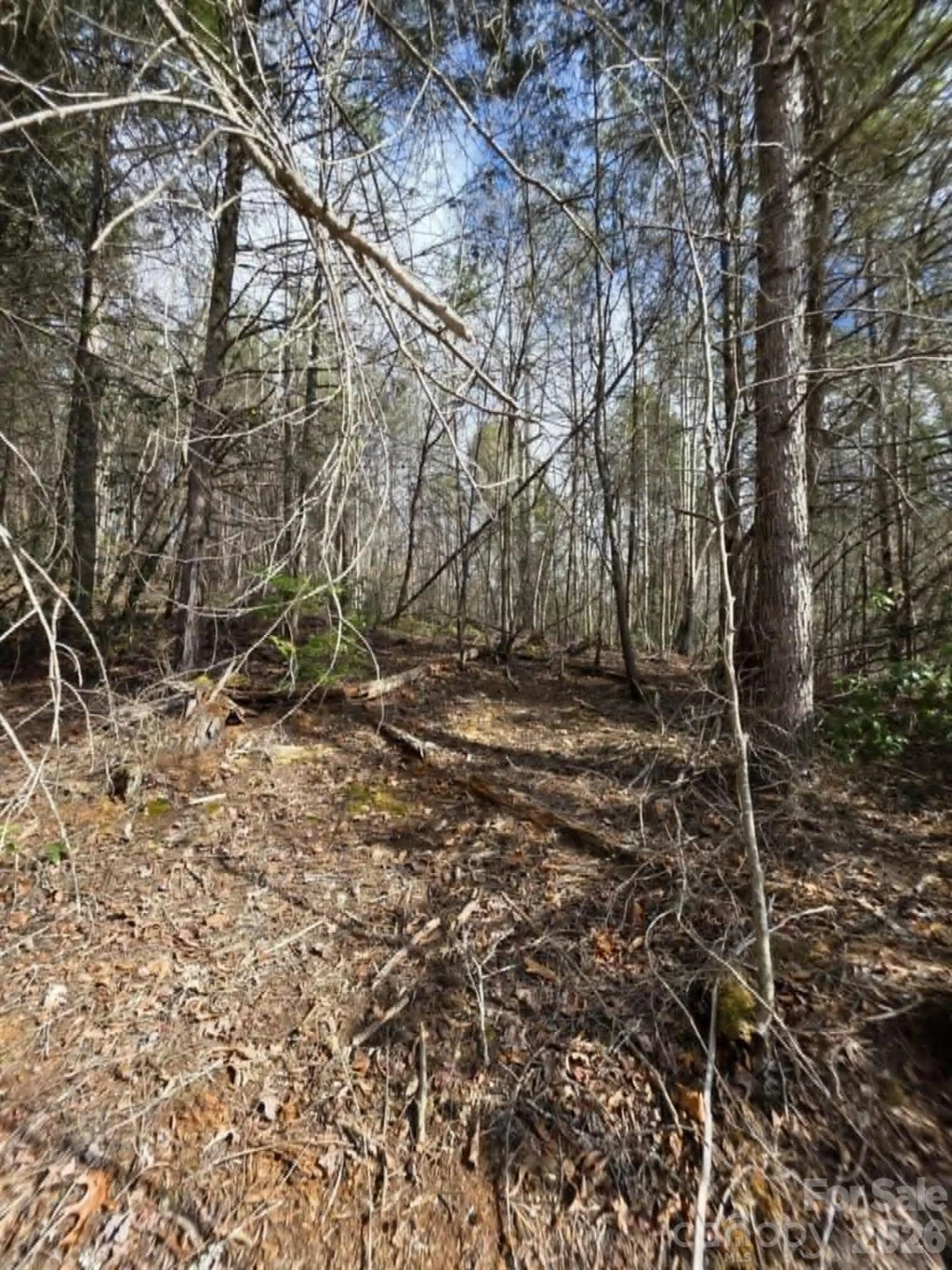 Lot 7 Kerlee Lane - Photo 3