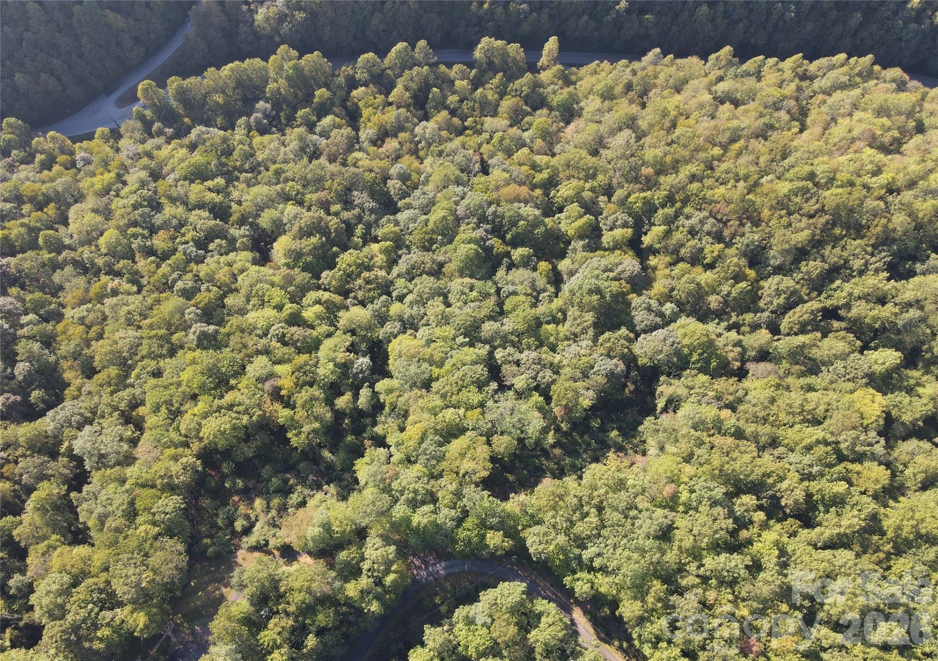 303 Ladd Ridge - Photo 11