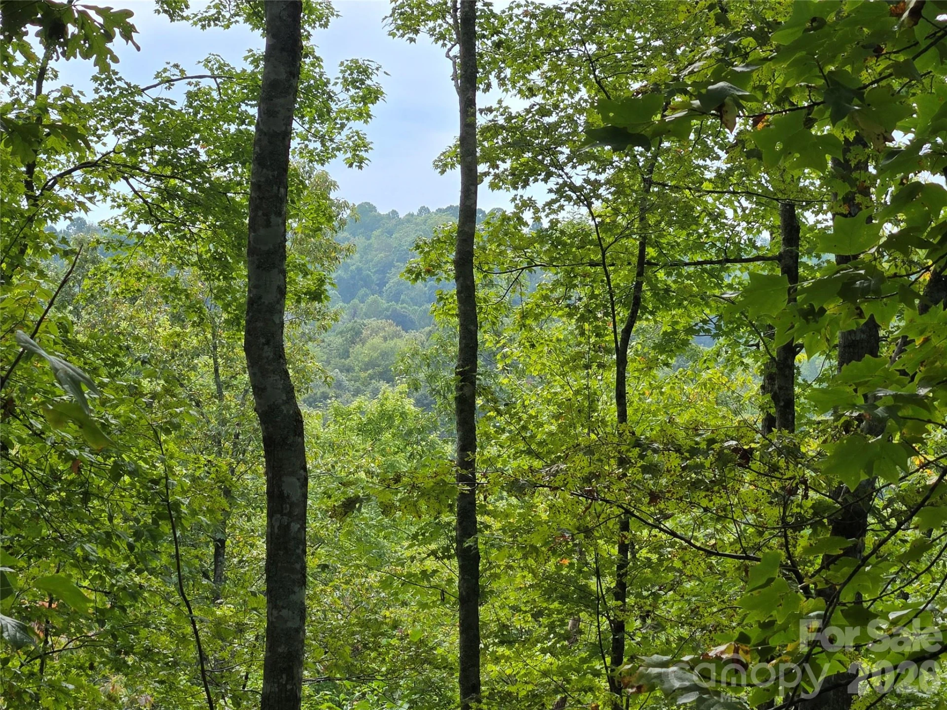 303 Ladd Ridge - Photo 12