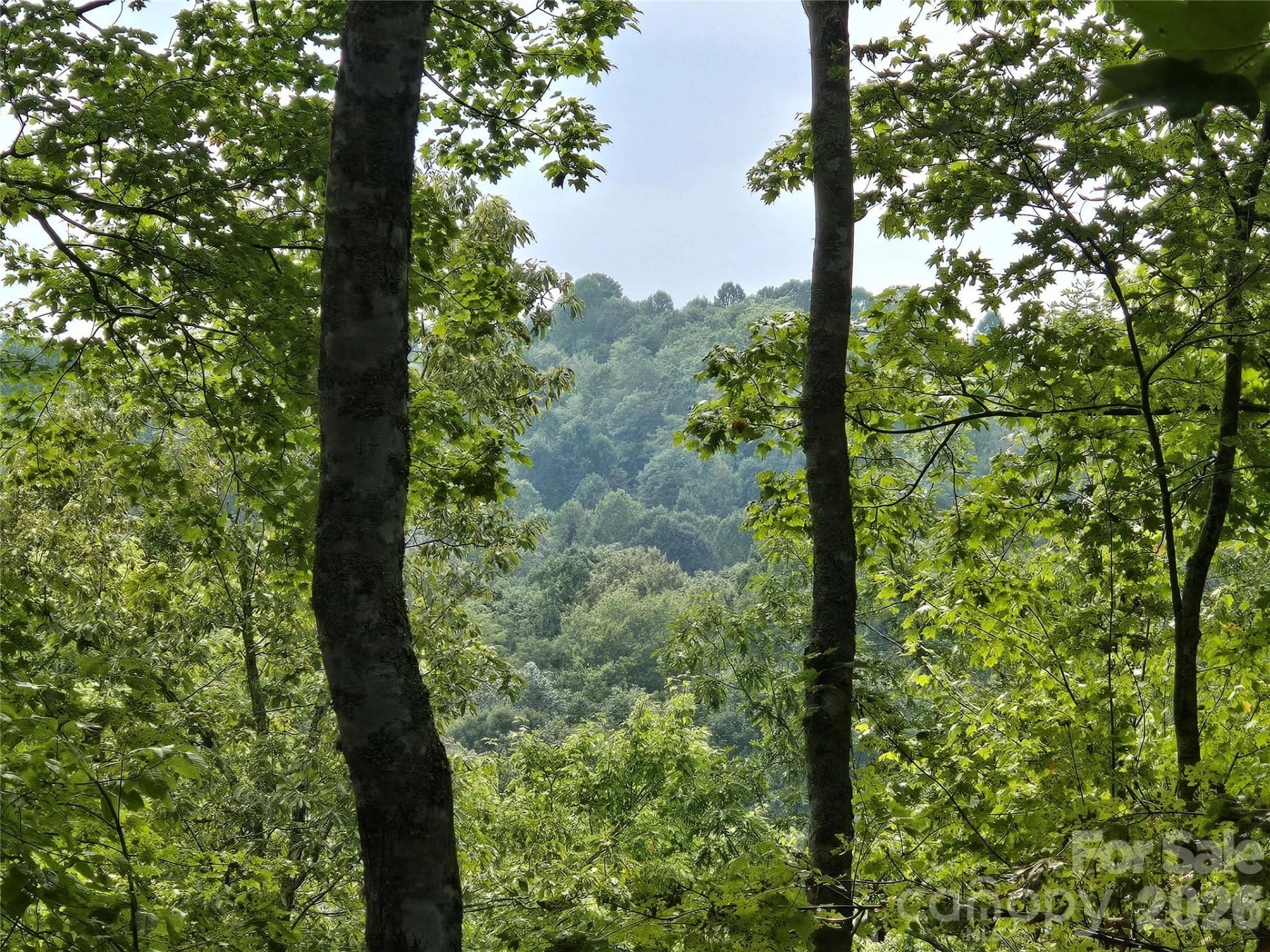 303 Ladd Ridge - Photo 13