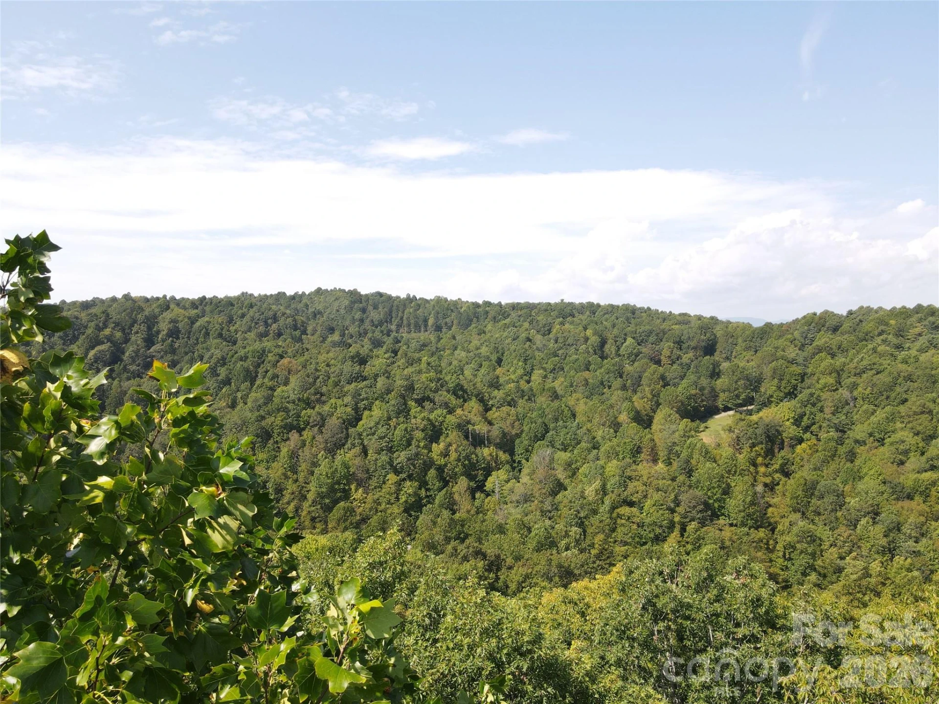 303 Ladd Ridge - Photo 15