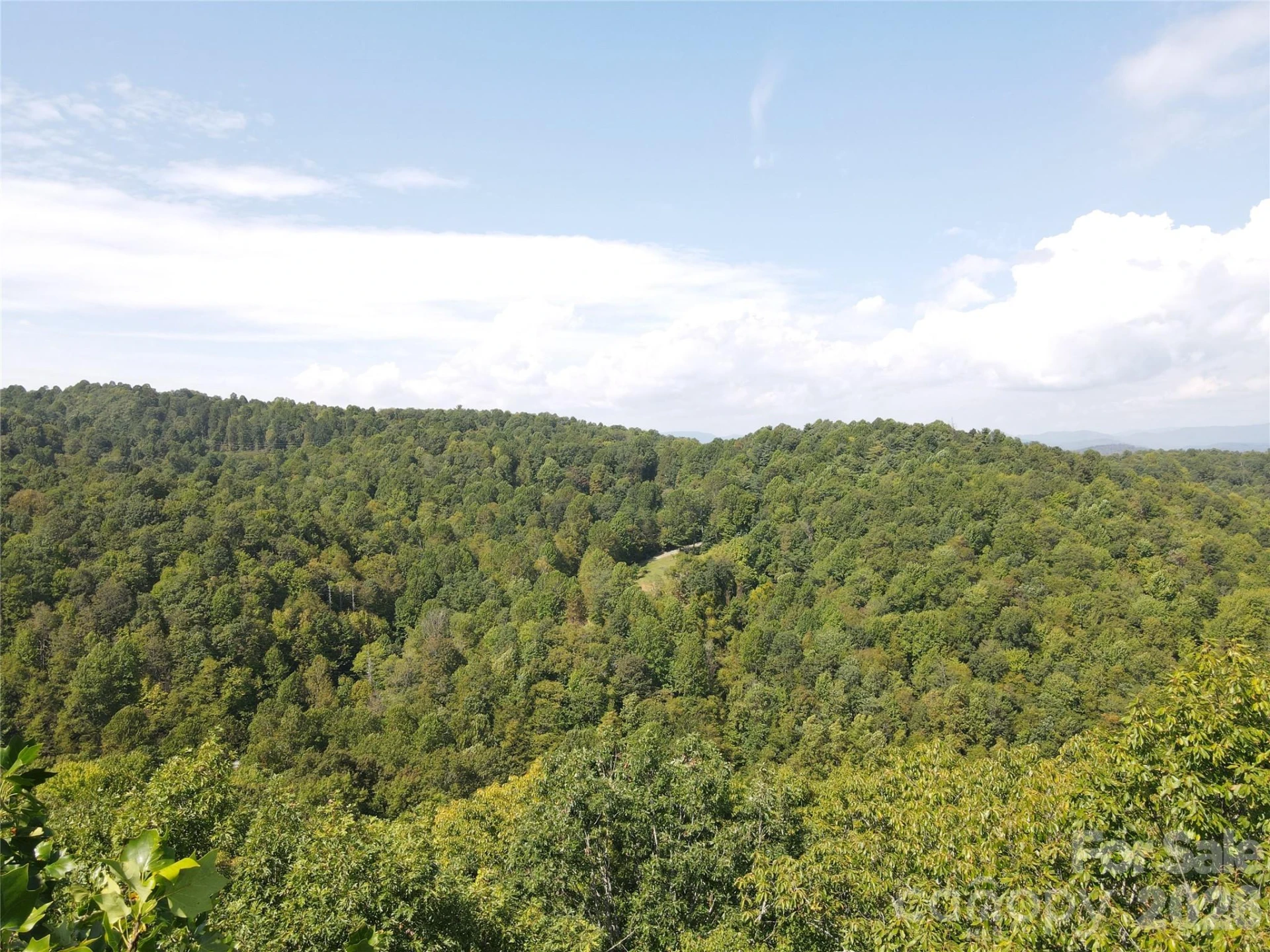 303 Ladd Ridge - Photo 16