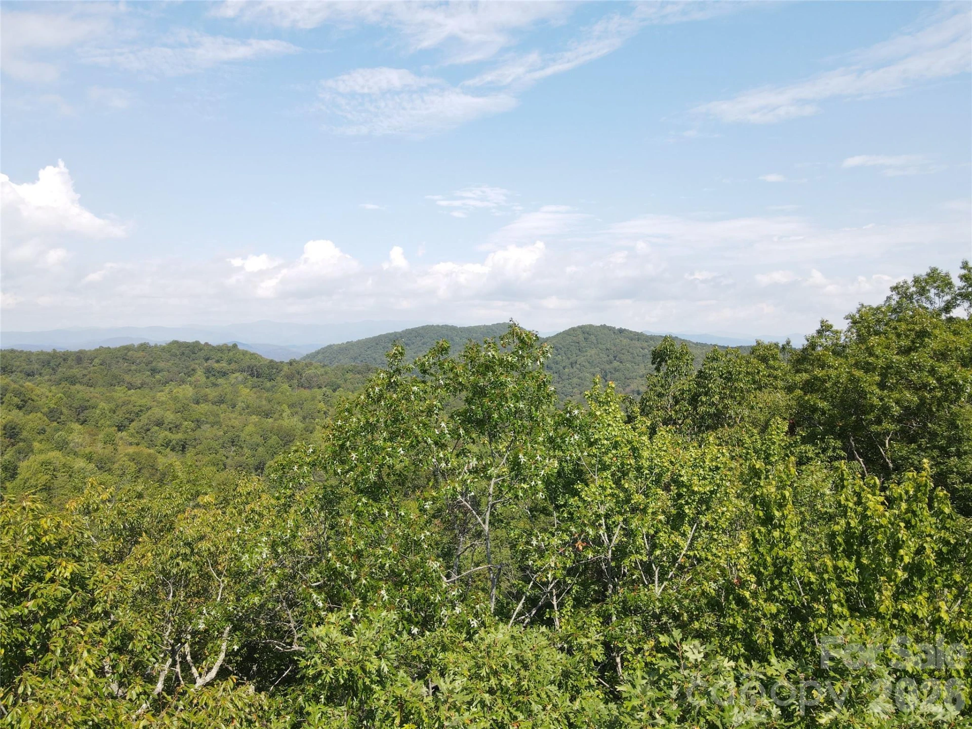 303 Ladd Ridge - Photo 18