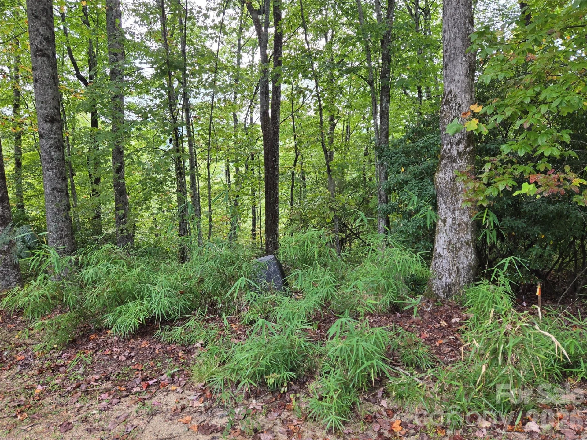 303 Ladd Ridge - Photo 19