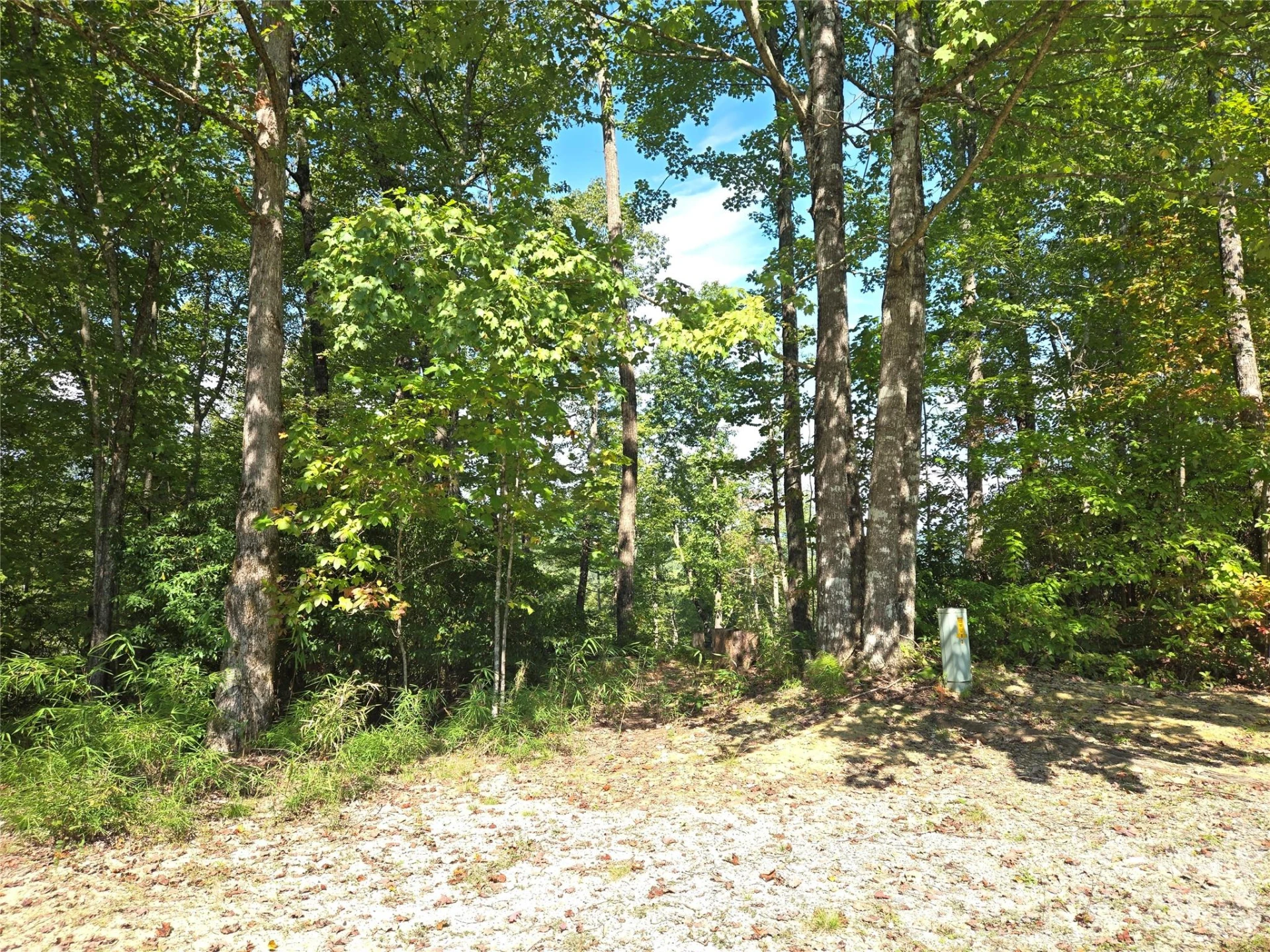 303 Ladd Ridge - Photo 3