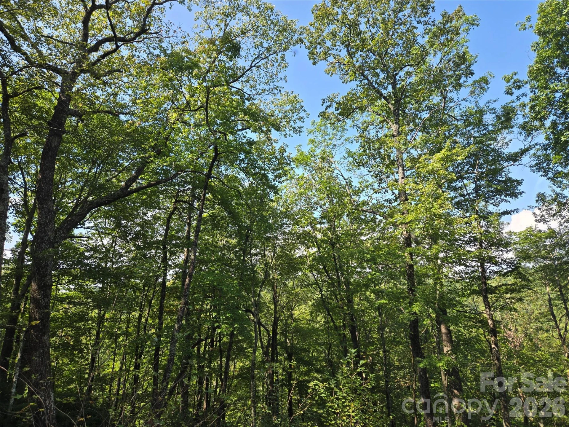 303 Ladd Ridge - Photo 21