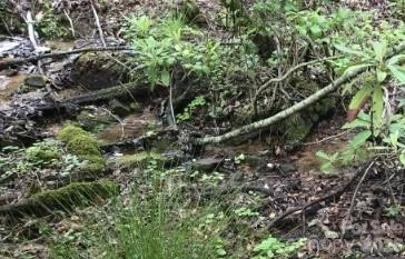 303 Ladd Ridge - Photo 30