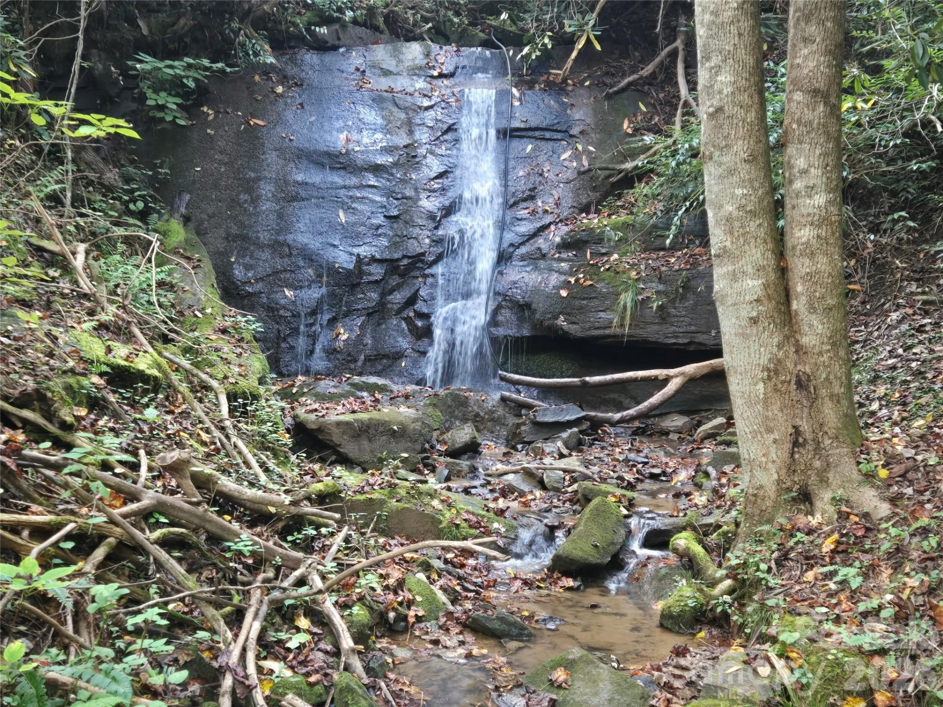 303 Ladd Ridge - Photo 31