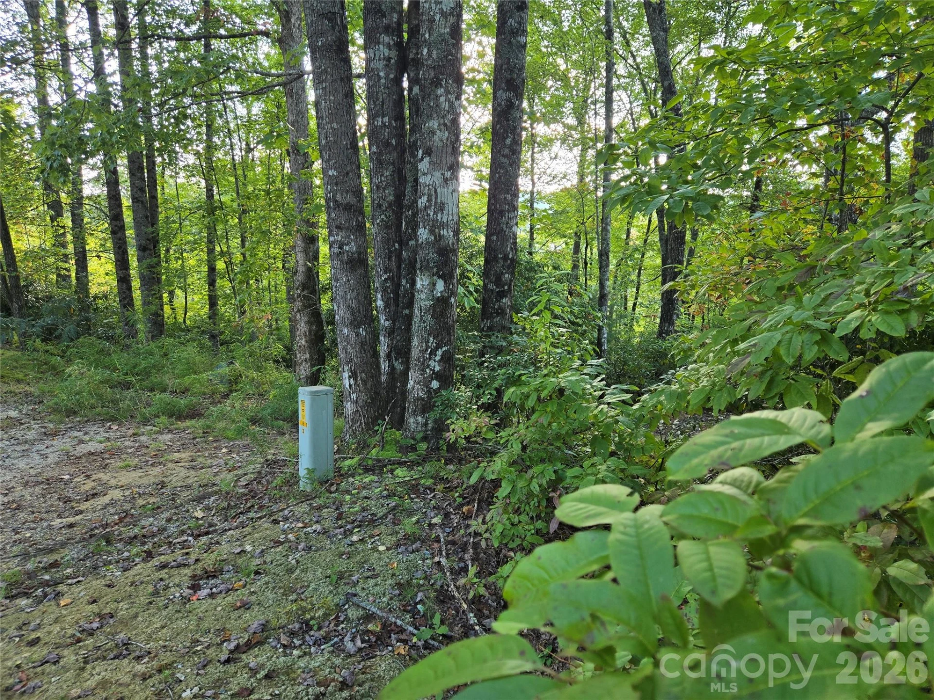 303 Ladd Ridge - Photo 5