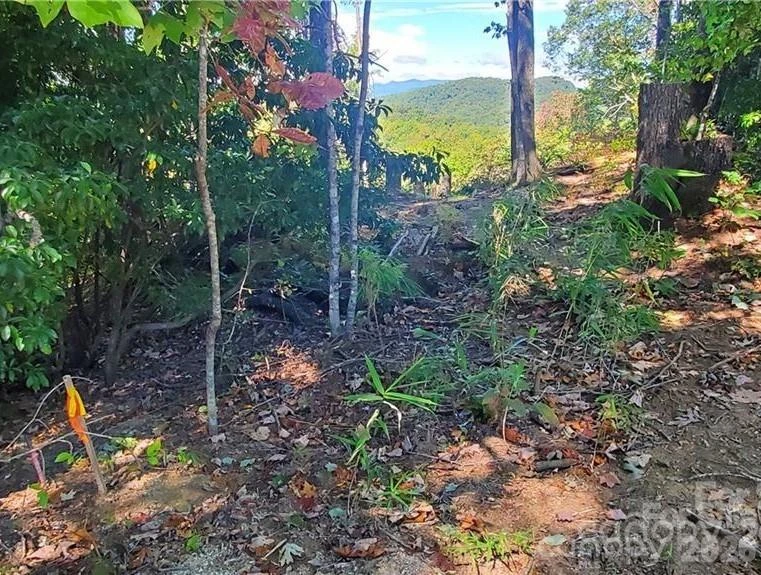 303 Ladd Ridge - Photo 6