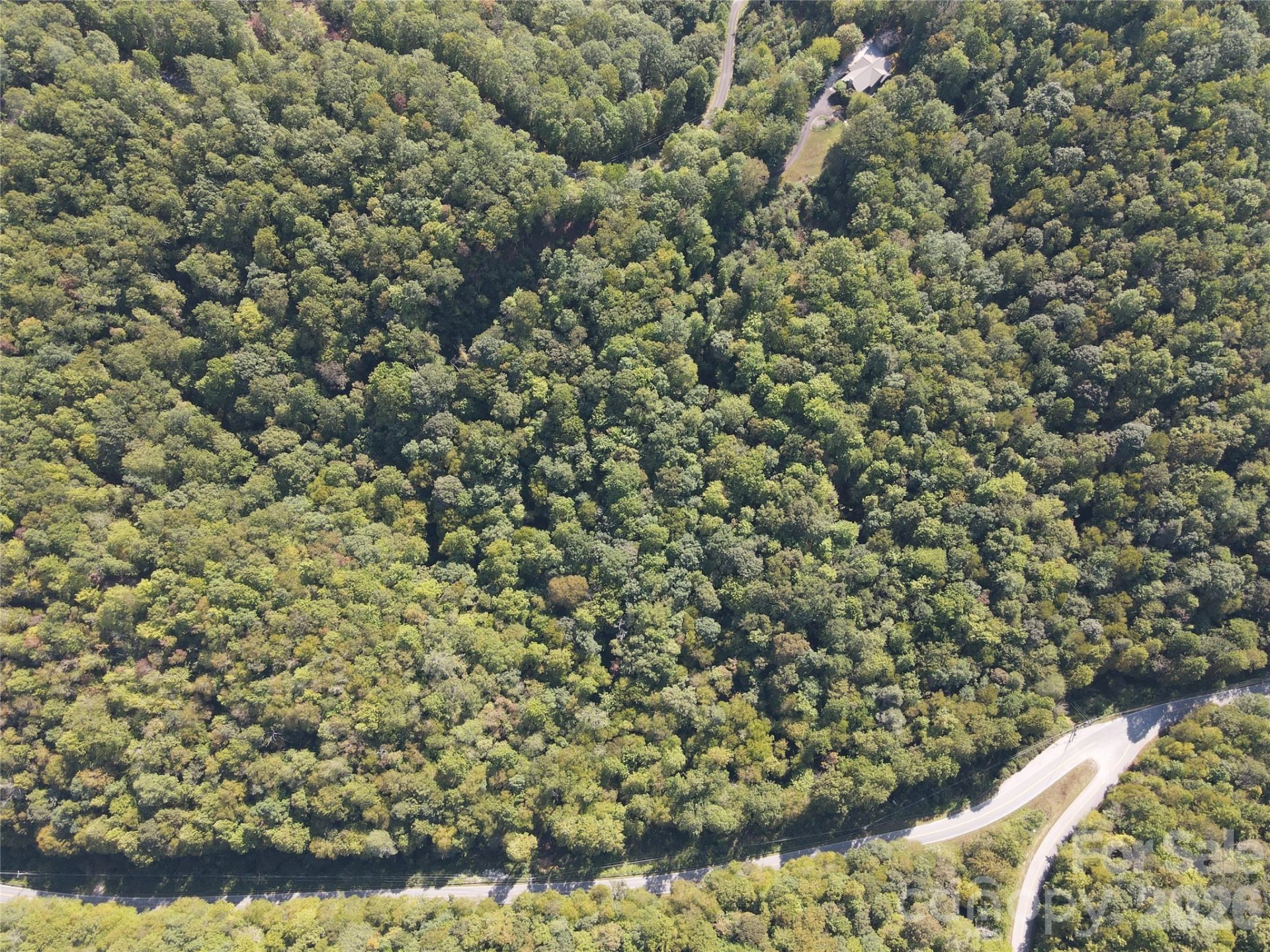 303 Ladd Ridge - Photo 9