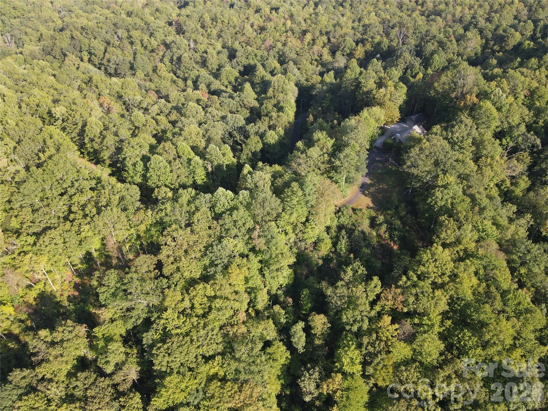 303 Ladd Ridge - Photo 10