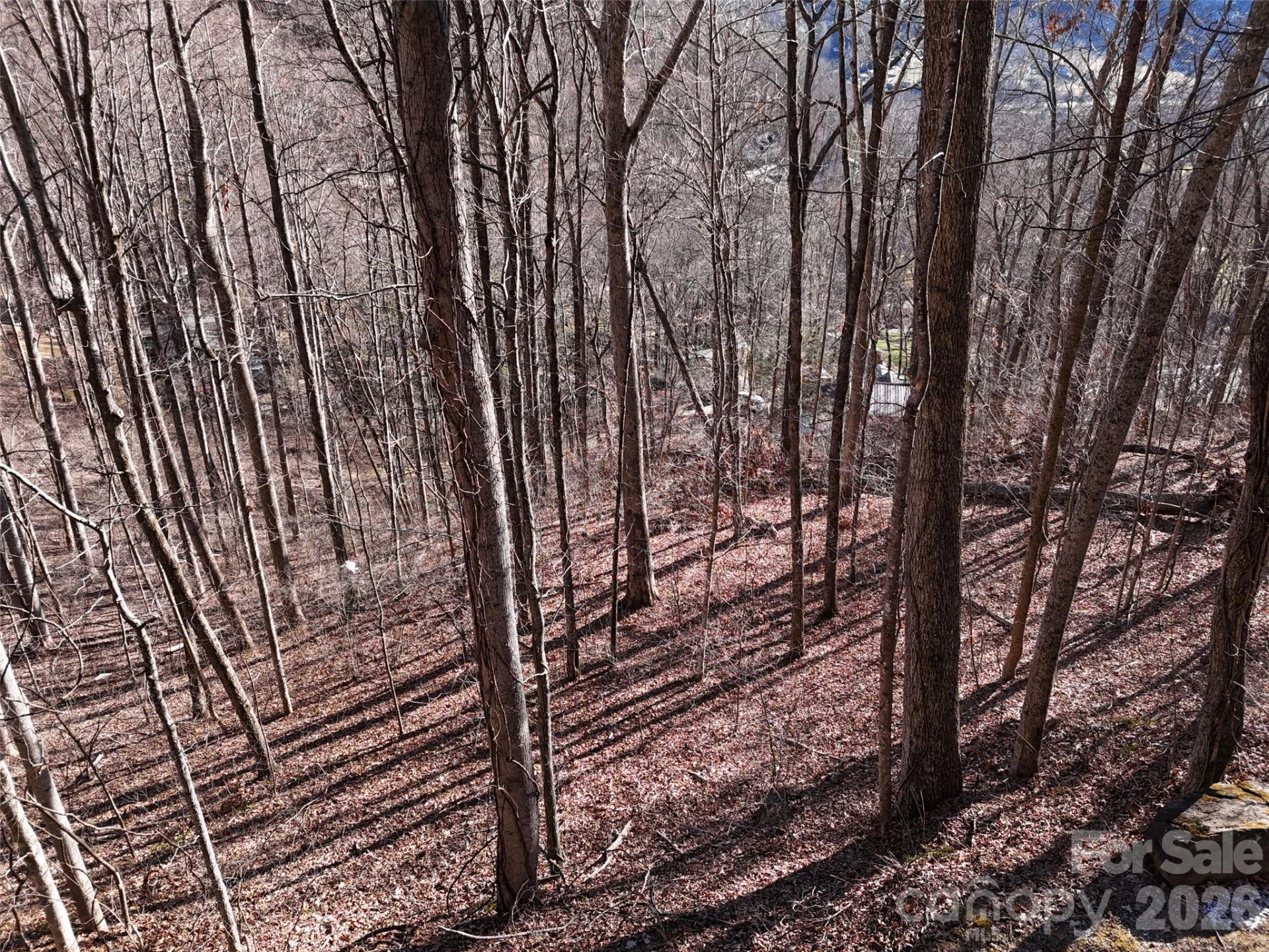 0000 Greenview Drive - Photo 14