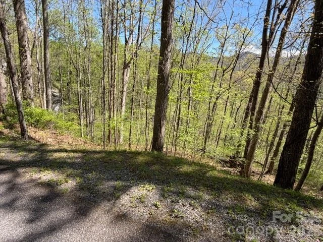 0000 Greenview Drive - Photo 10