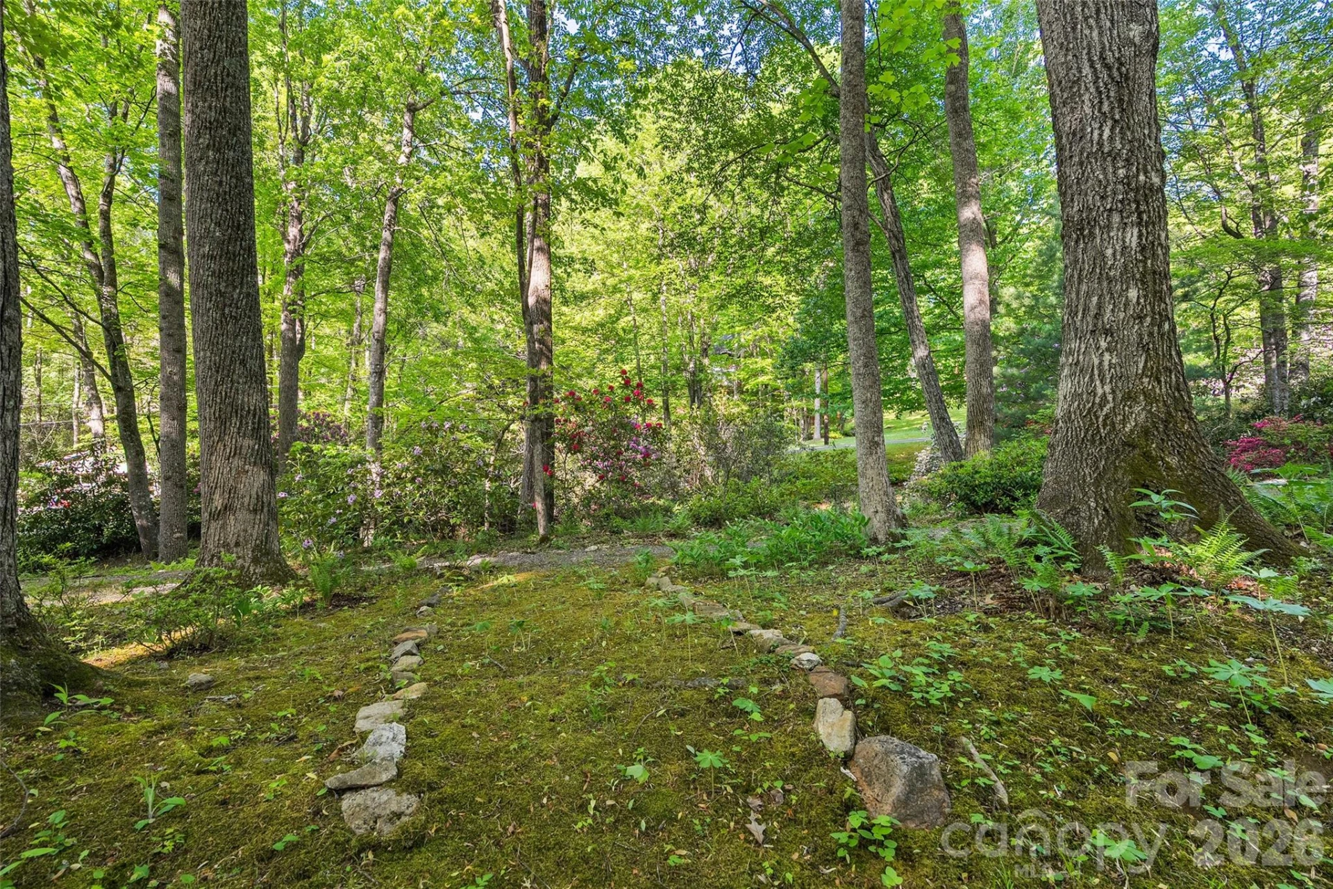 134 The Trail - Photo 28