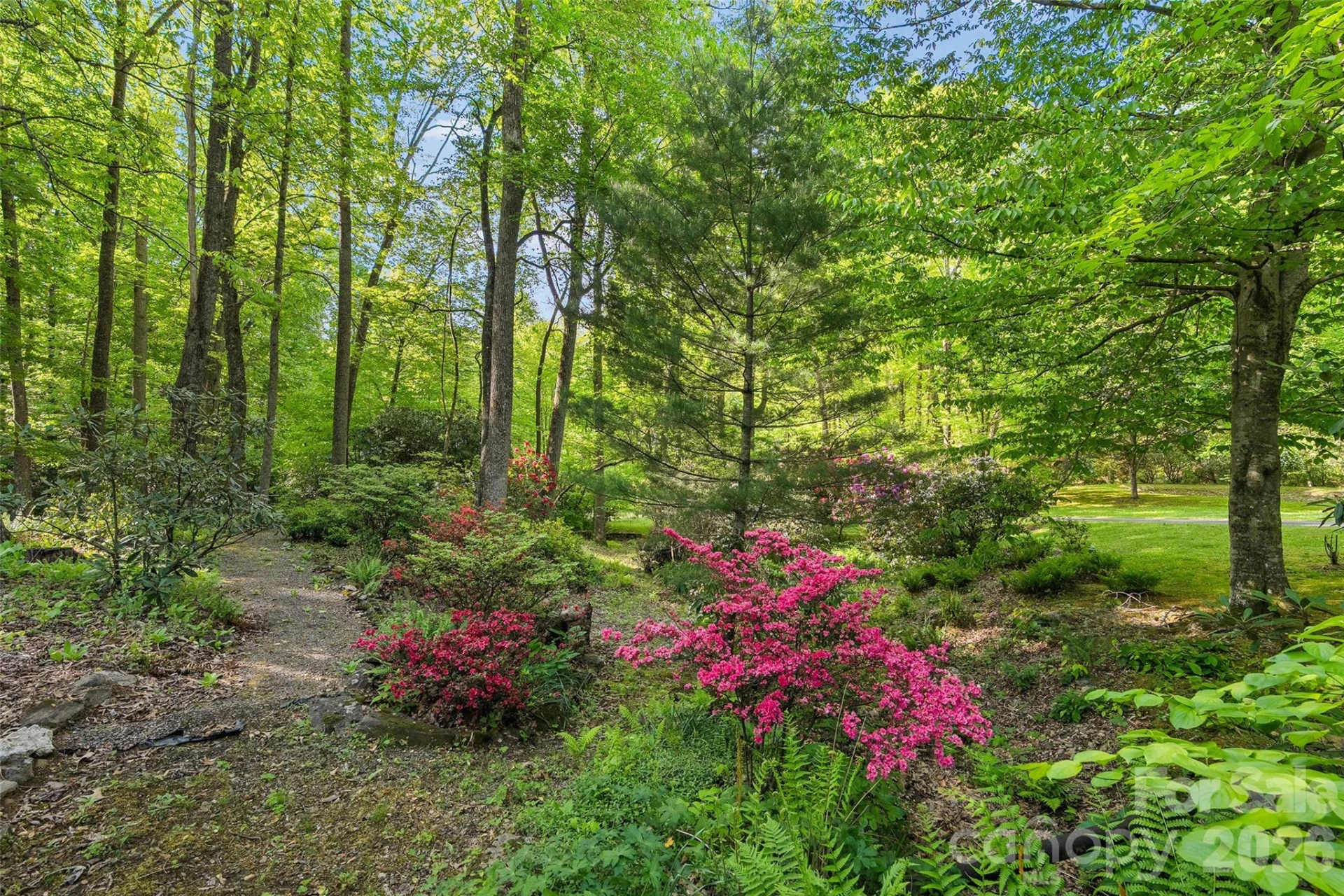 134 The Trail - Photo 30