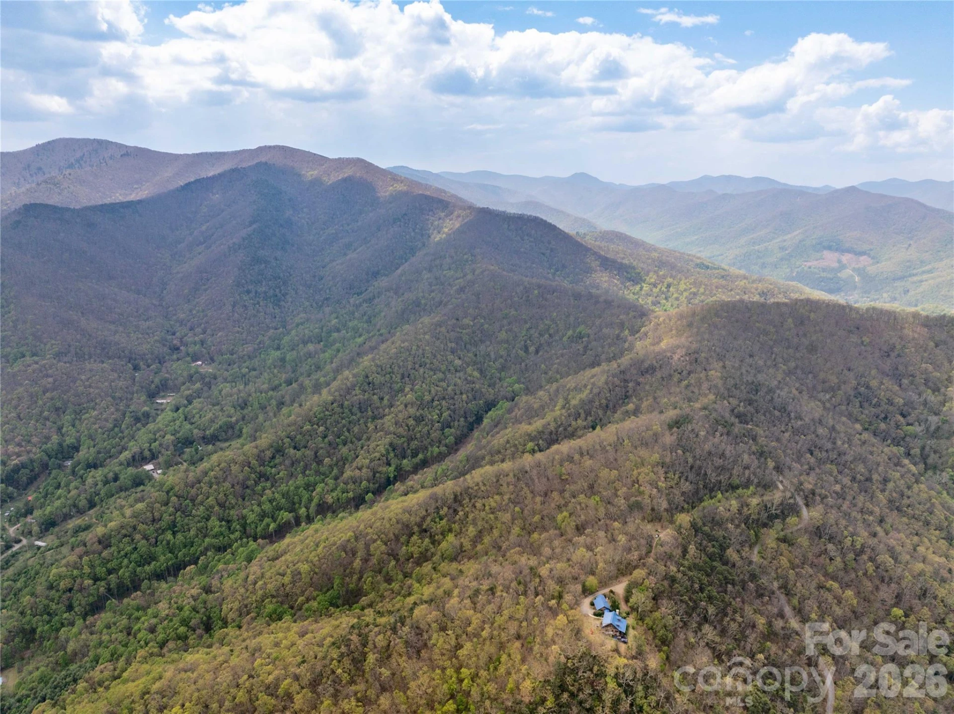 1299 Tiger Tail Lane - Photo 6