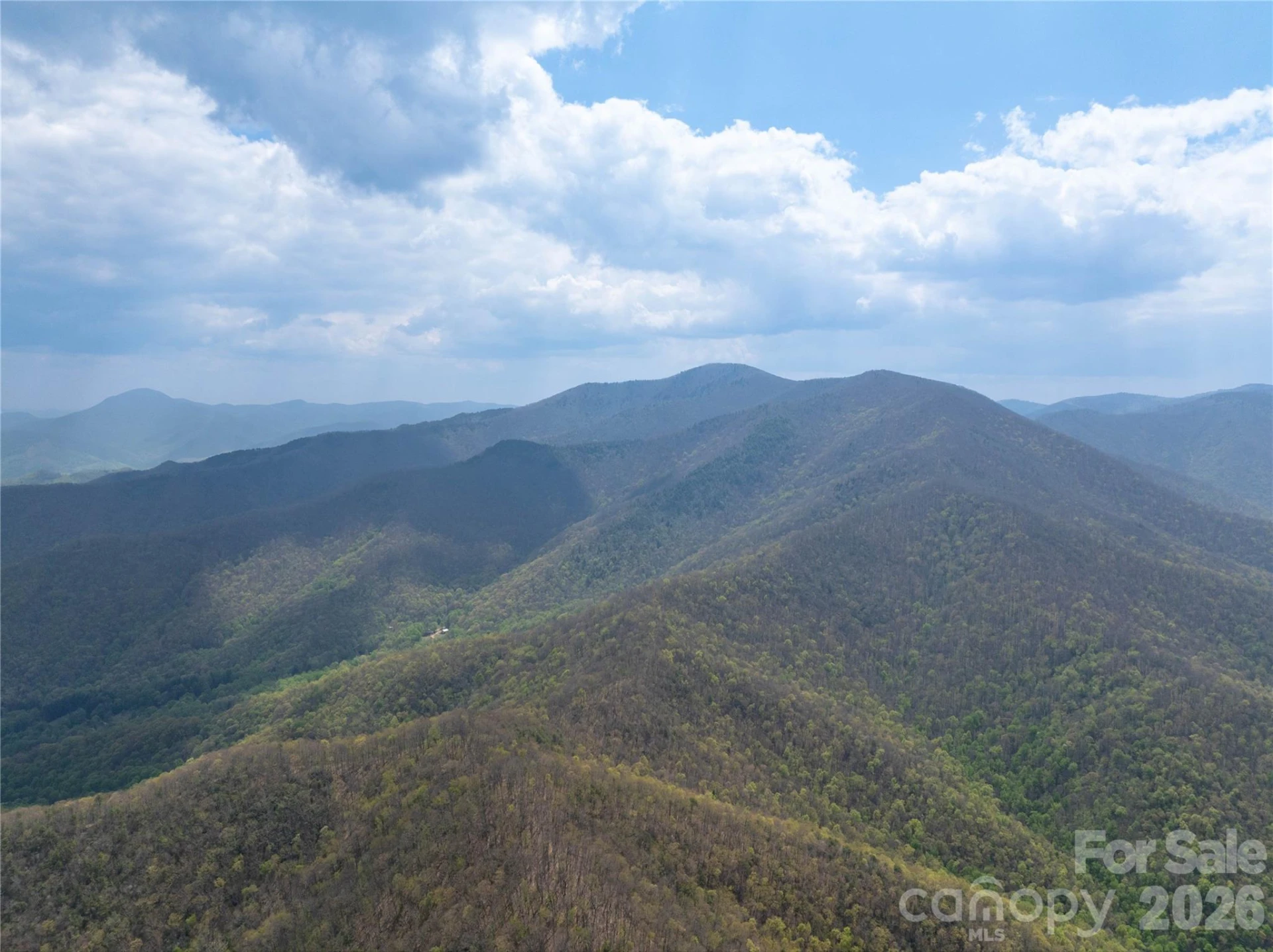 1299 Tiger Tail Lane - Photo 7