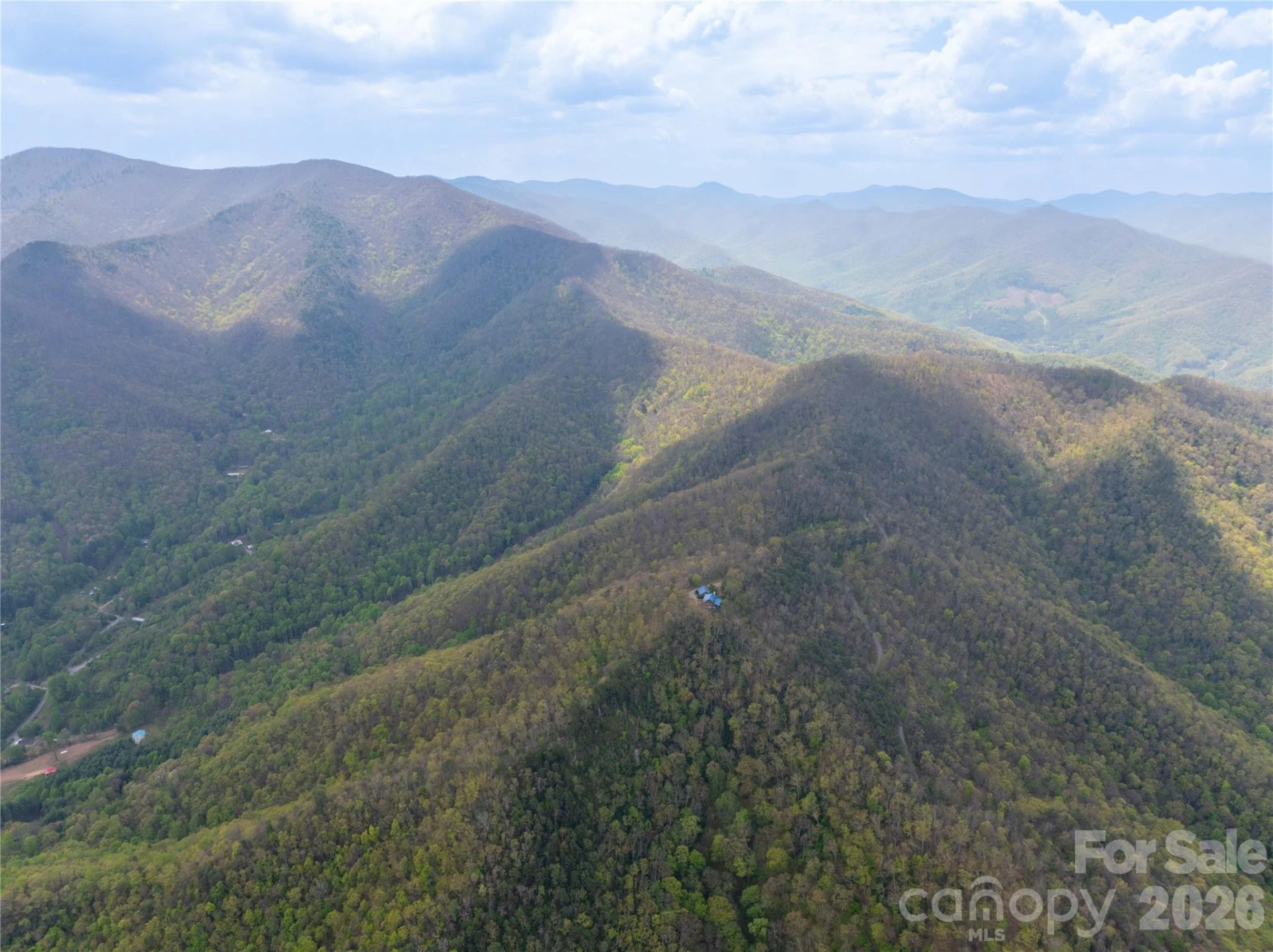 1299 Tiger Tail Lane - Photo 9