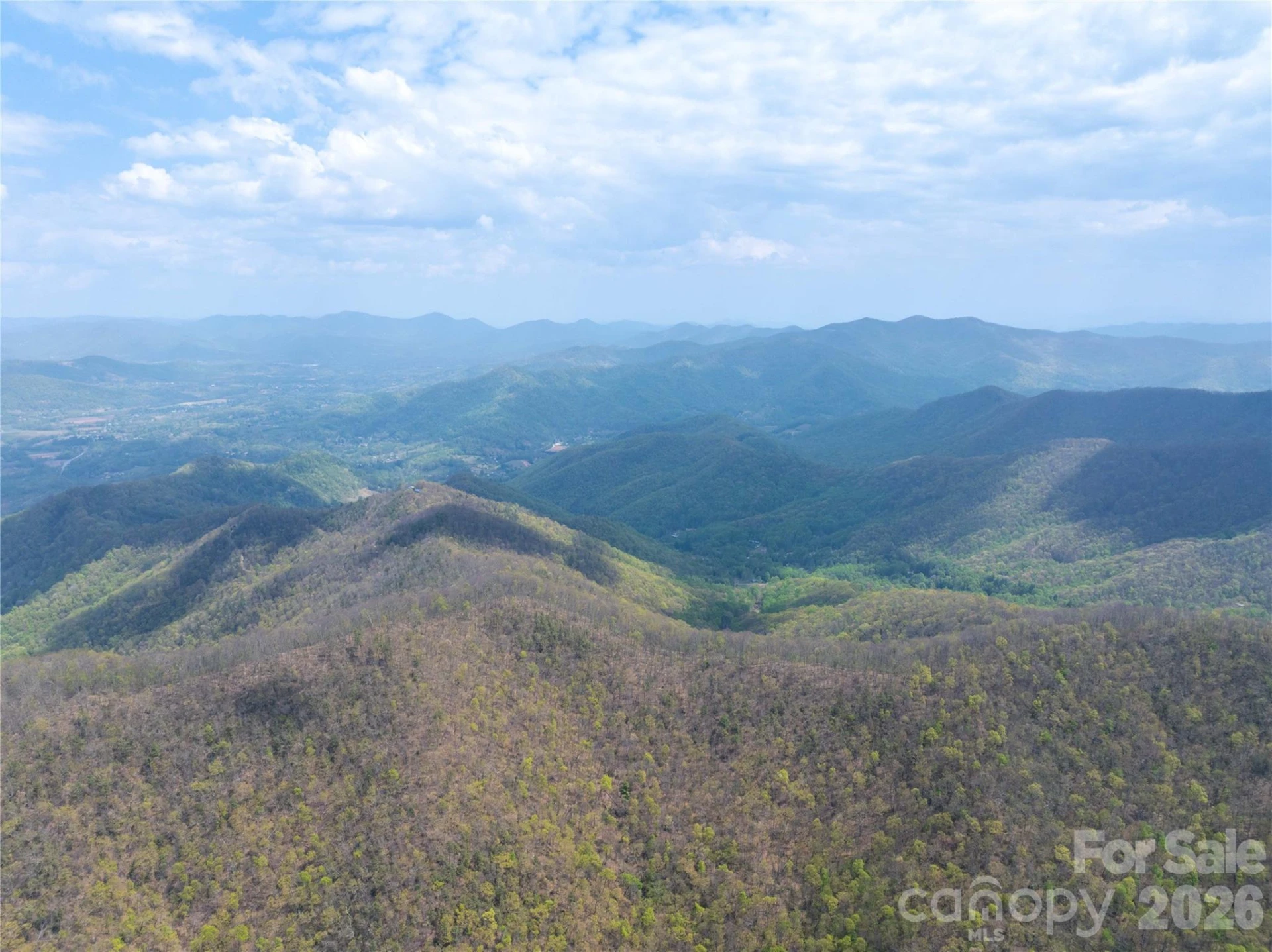 1299 Tiger Tail Lane - Photo 10