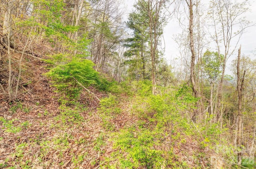 99999 Leisure Mountain Road #22 - Photo 6