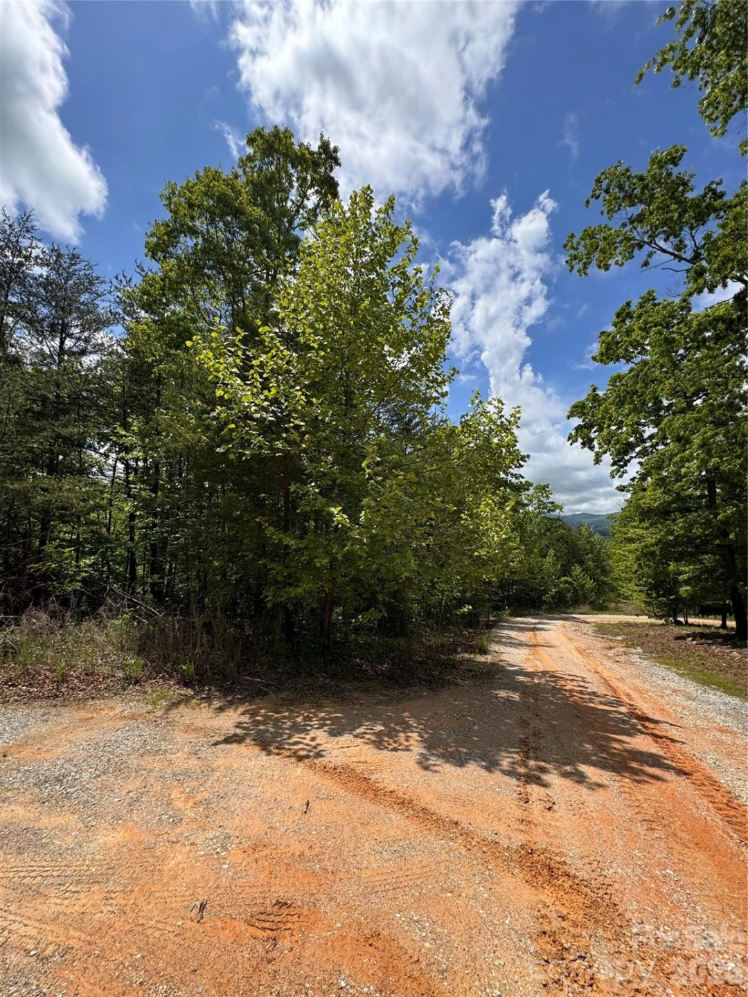 34 Montgomery Drive - Photo 3