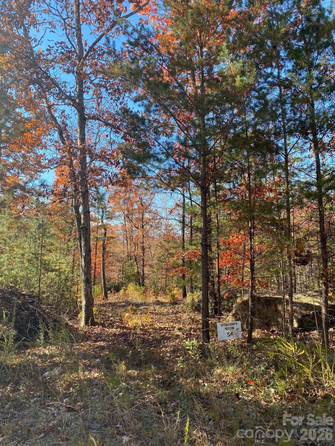 34 Montgomery Drive - Photo 8
