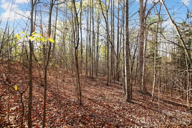 Lot 62 Dirksen Avenue