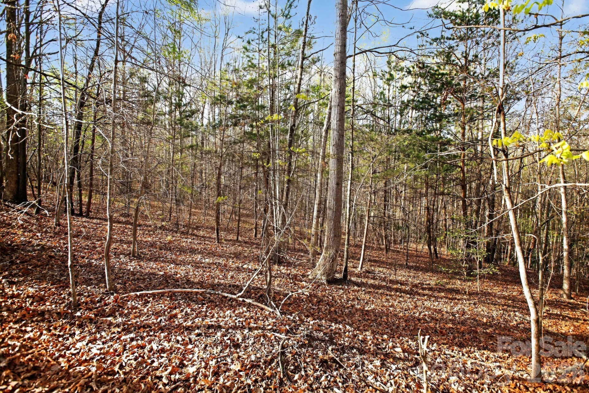 Lot 62 Dirksen Avenue - Photo 3