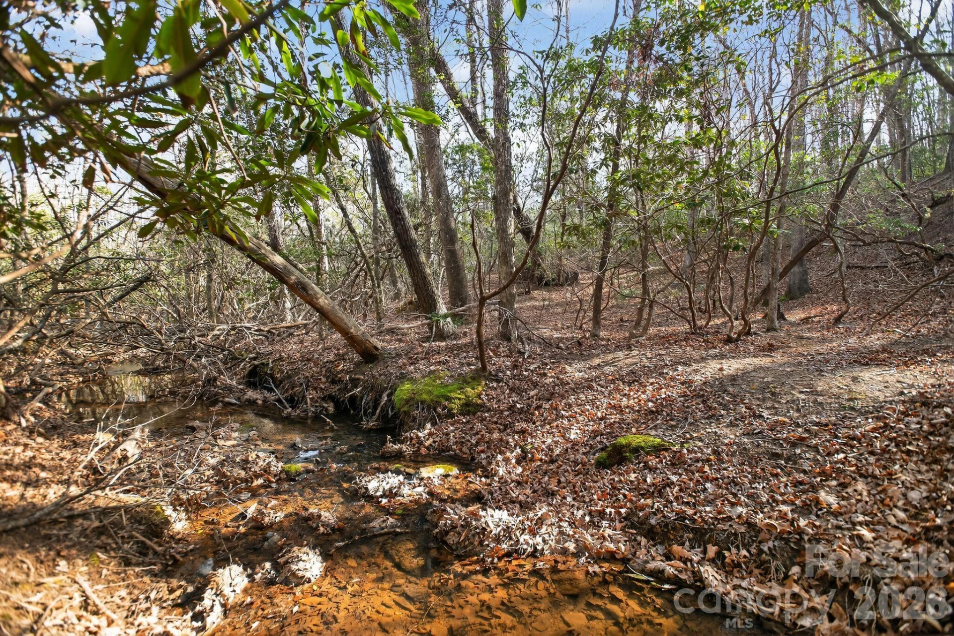 Lot 62 Dirksen Avenue - Photo 30