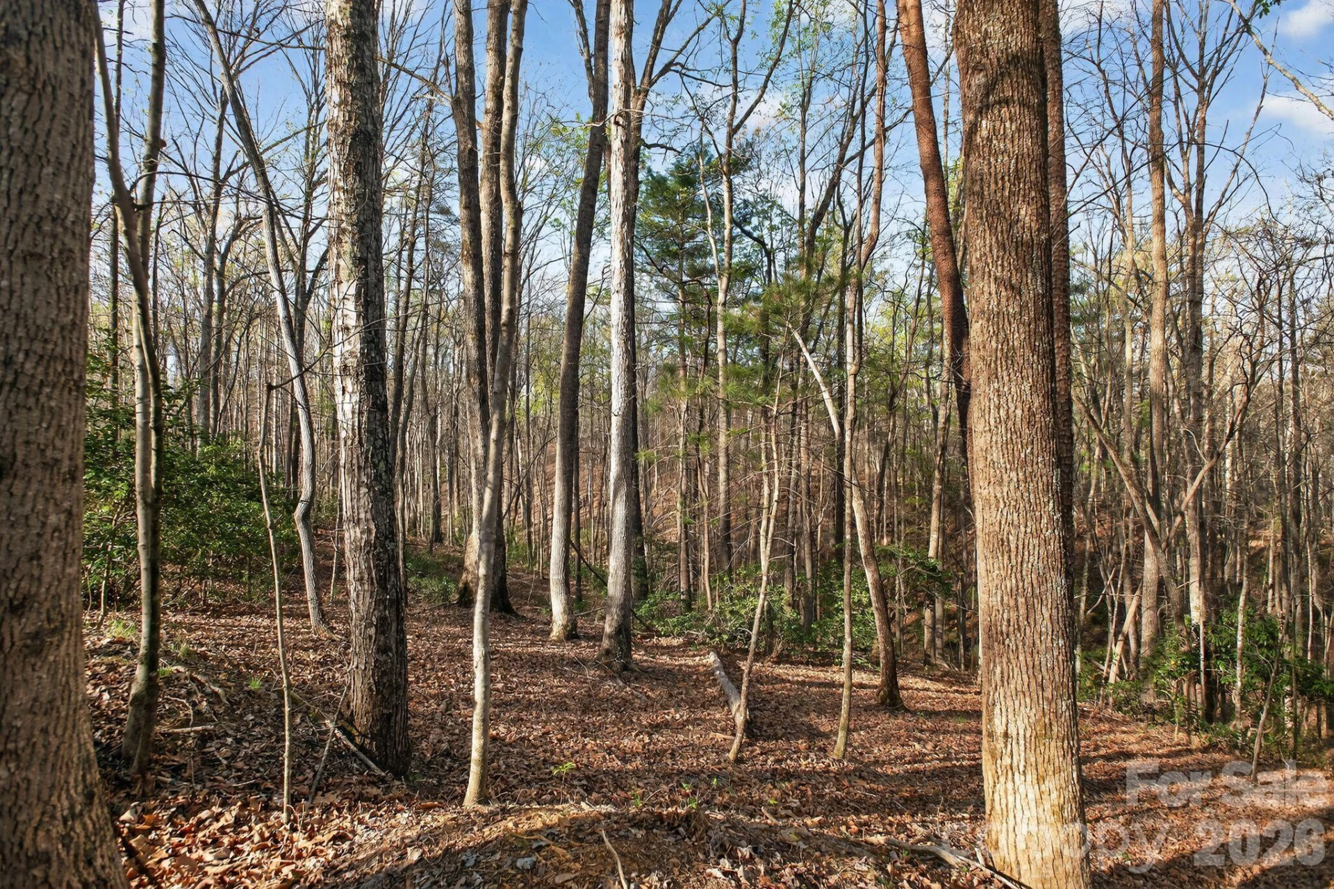 Lot 62 Dirksen Avenue - Photo 4