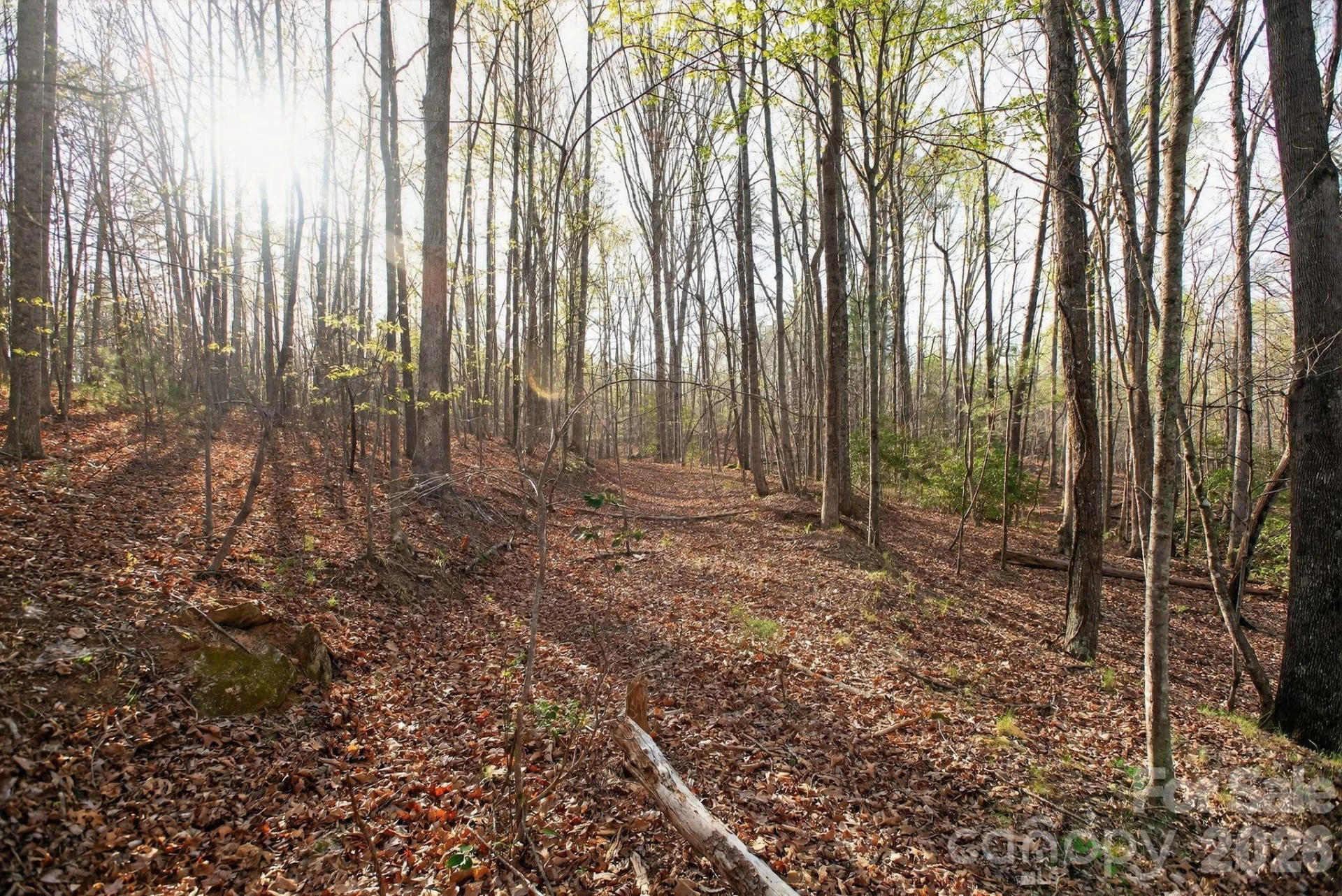 Lot 62 Dirksen Avenue - Photo 10
