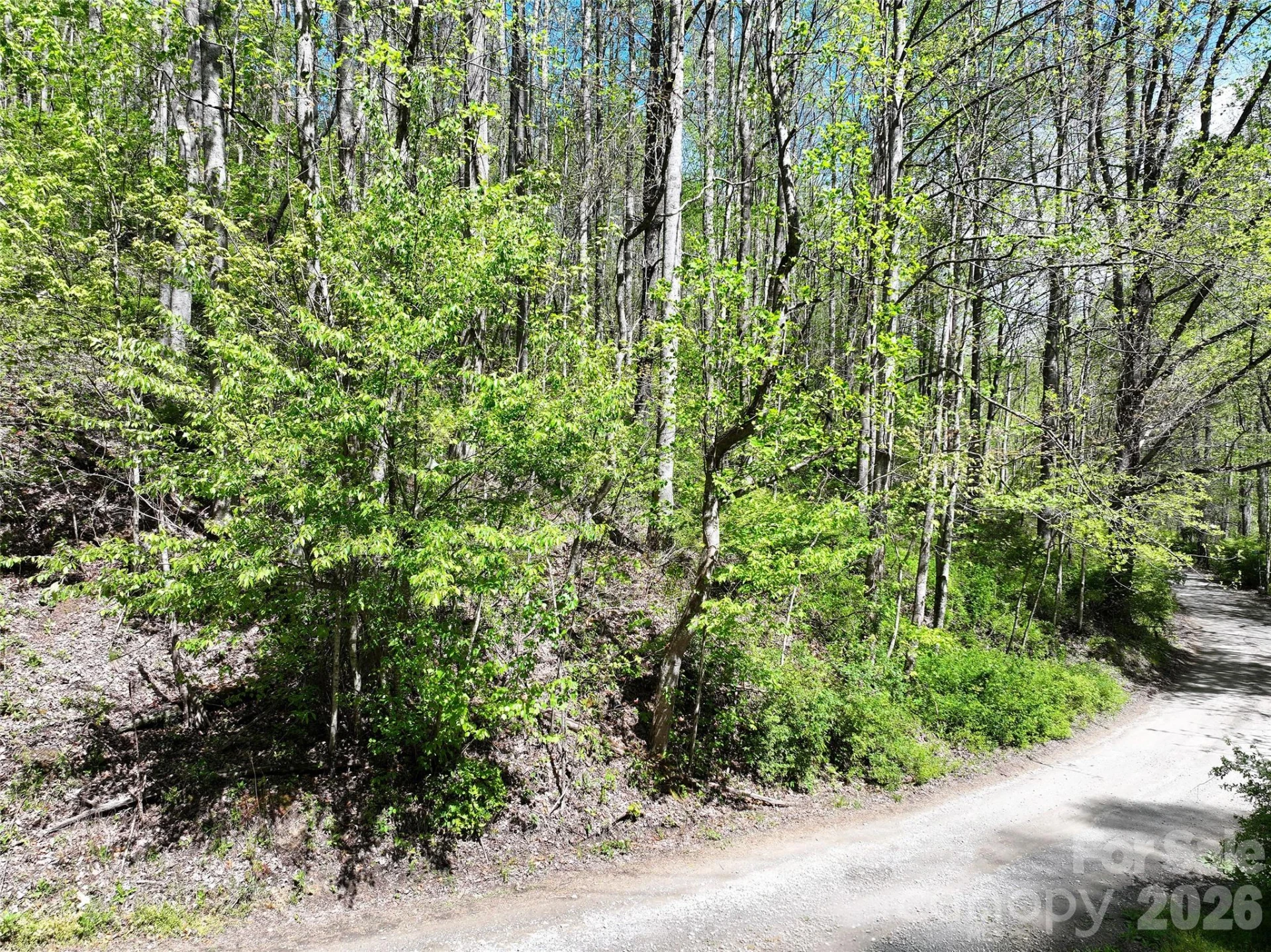00 Hanks Road - Photo 4