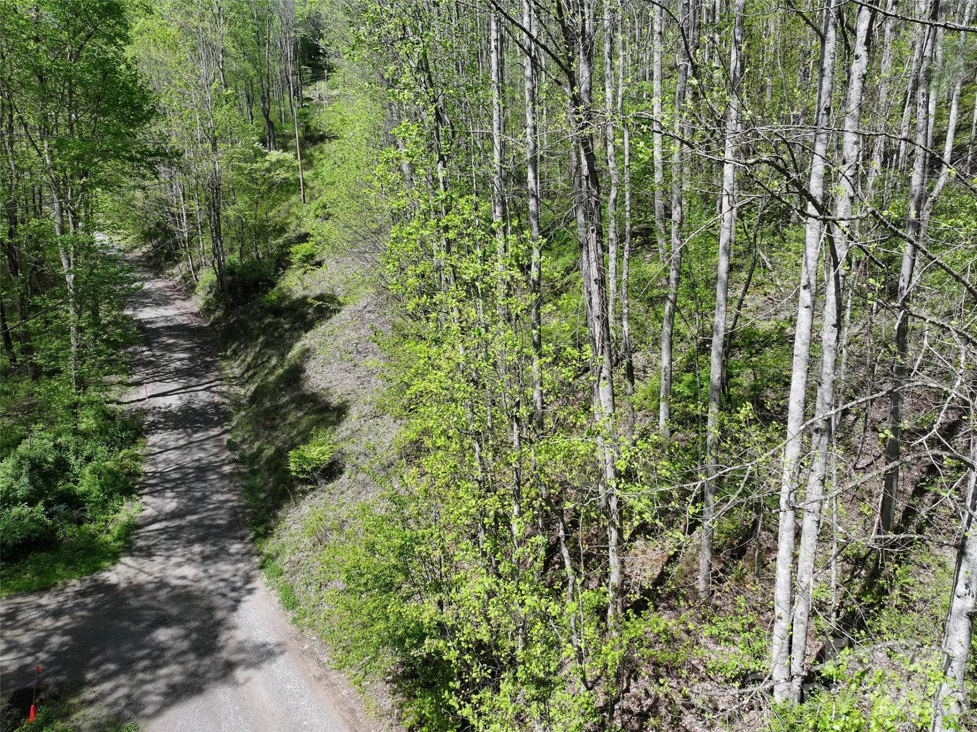 00 Hanks Road - Photo 6