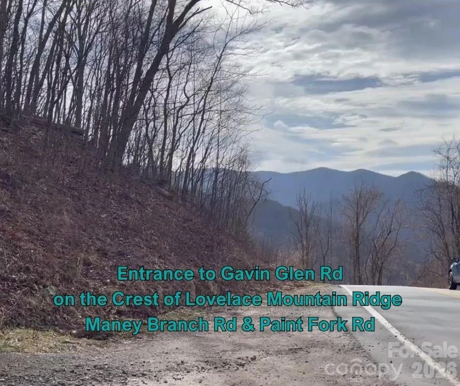 125 Gavin Glen Road - Photo 2