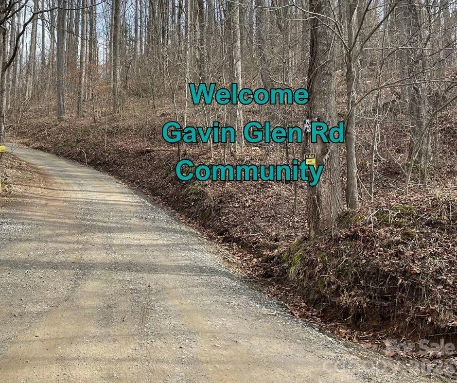 125 Gavin Glen Road - Photo 3